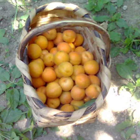 La Fusarella Santoro Kır Evi